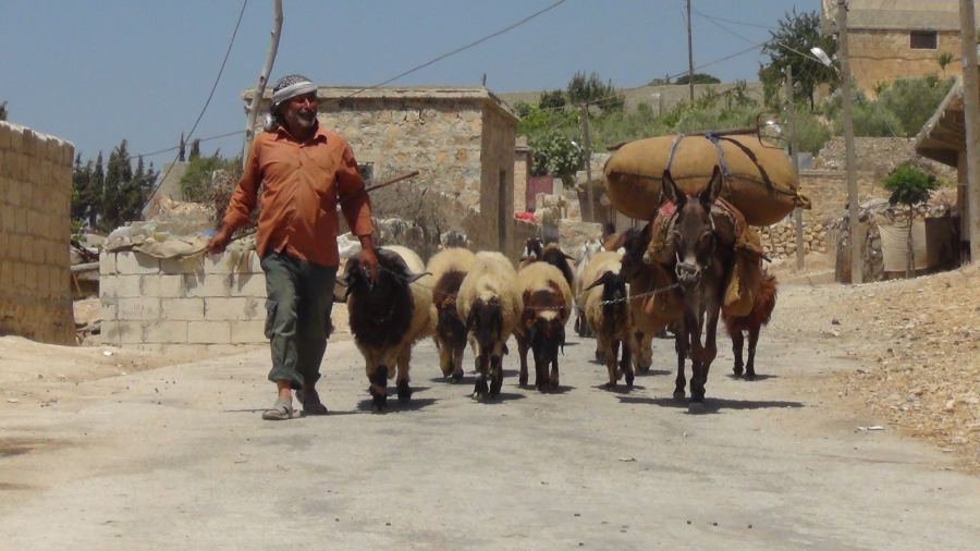 الشطانية والشوال والشلف 